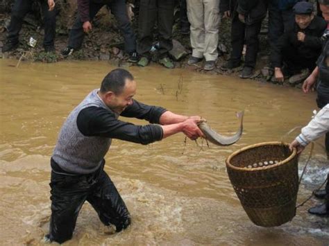 夢見捕魚|夢見抓魚/夢到抓魚